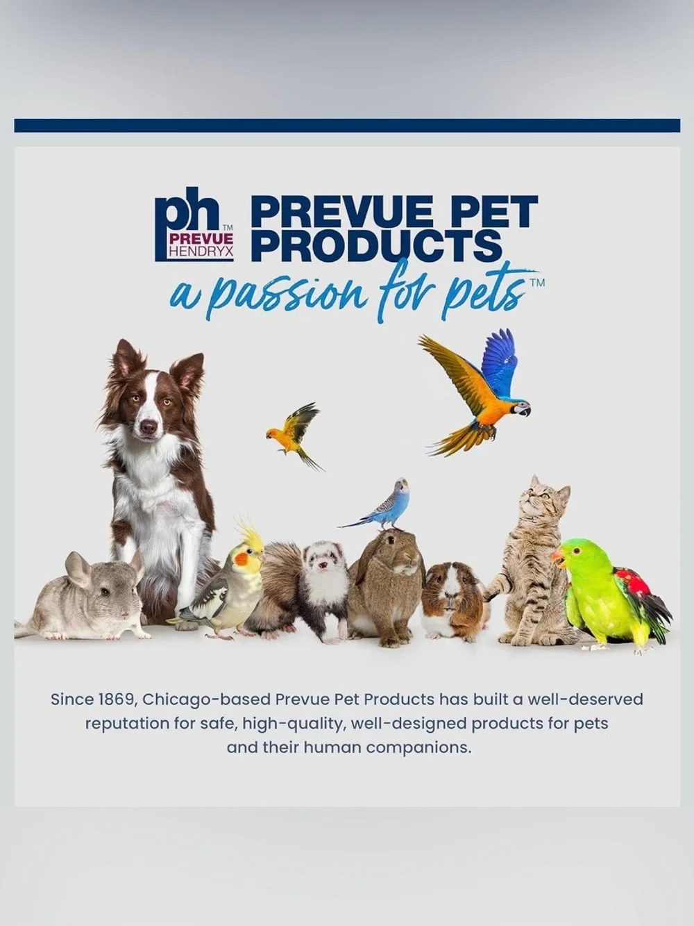 Prevue Pet Products Parakeet Square Roof Bird Cage with Handle